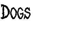 Dogs