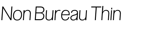 Non Bureau Thin