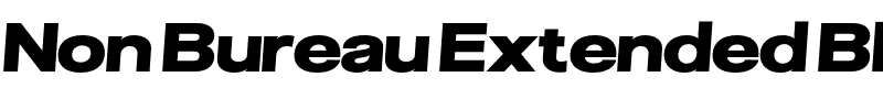 Non Bureau Extended Black
