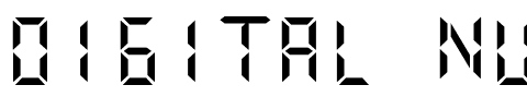 Digital Numbers.ttf