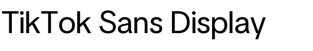 TikTok Sans Display.ttf