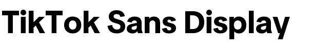 TikTok Sans Display.ttf