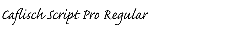 Caflisch Script Pro Regular