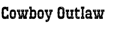 Cowboy Outlaw