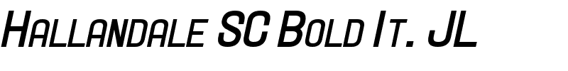 Hallandale SC Bold It. JL