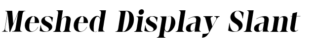 Meshed Display Slant.ttf