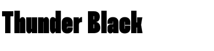Thunder Black.ttf