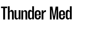 Thunder Med.ttf