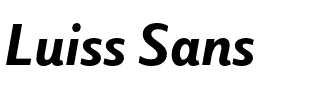 Luiss Sans.otf