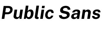 Public Sans.otf