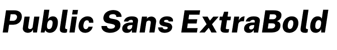 Public Sans ExtraBold.otf
