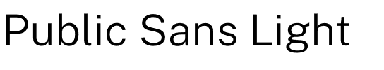 Public Sans Light.otf