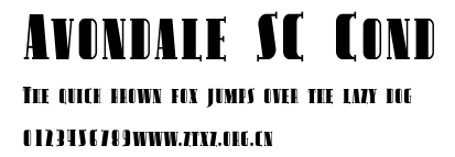 Avondale SC Cond
