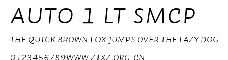 Auto 1 Lt SmCp