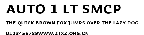 Auto 1 Lt SmCp