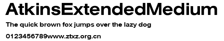 AtkinsExtendedMedium