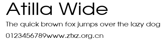 Atilla Wide