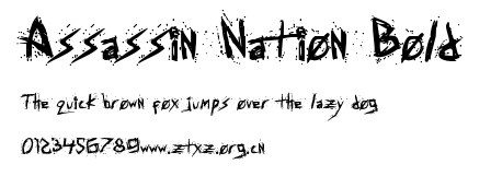 Assassin Nation Bold