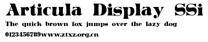 Articula Display SSi