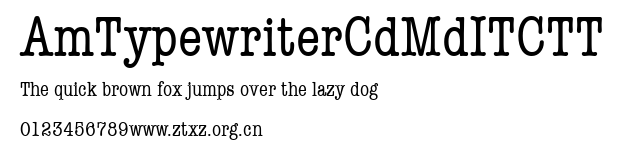 AmTypewriterCdMdITCTT