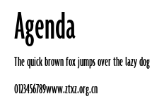 Agenda