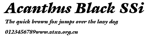 Acanthus Black SSi