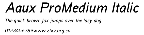 Aaux ProMedium Italic