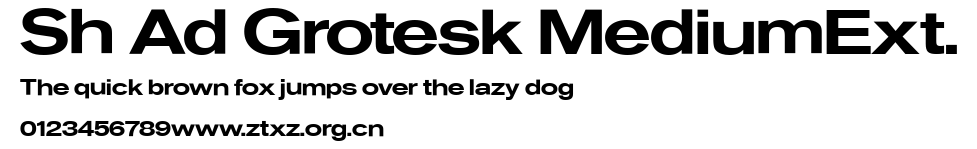 Sh Ad Grotesk MediumExt.