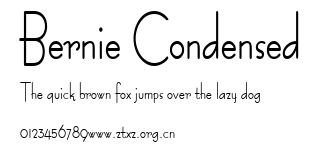 Bernie Condensed