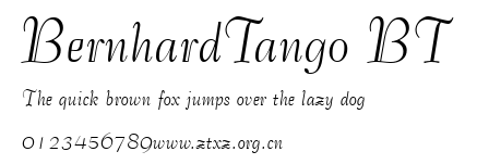 BernhardTango BT