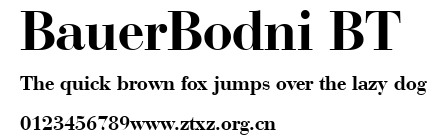 BauerBodni BT