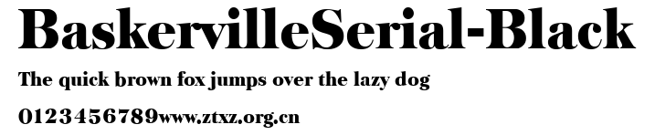 BaskervilleSerial-Black.ttf