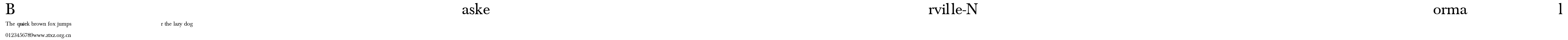 Baskerville-Normal.ttf