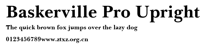 Baskerville Pro Upright.ttf