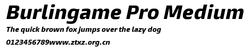 Burlingame Pro Medium.ttf