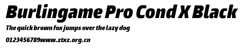 Burlingame Pro Cond X Black.ttf