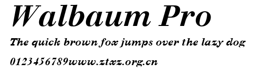 Walbaum Pro.ttf