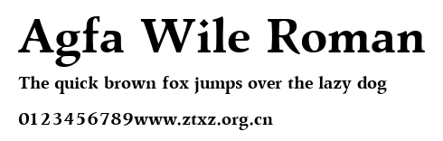 Agfa Wile Roman.ttf