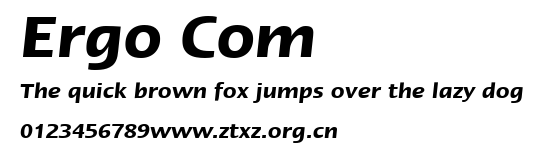 Ergo Com.ttf