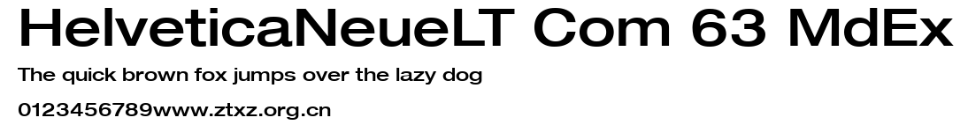 HelveticaNeueLT Com 63 MdEx.ttf