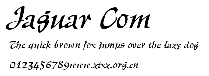 Jaguar Com.ttf