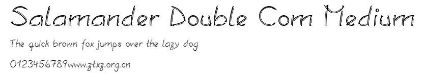 Salamander Double Com Medium.ttf