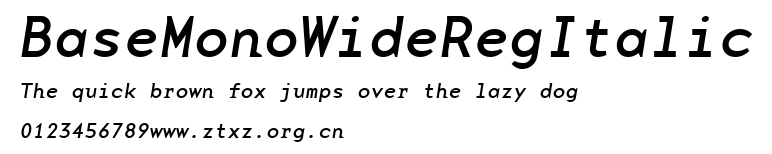 BaseMonoWideRegItalic.ttf