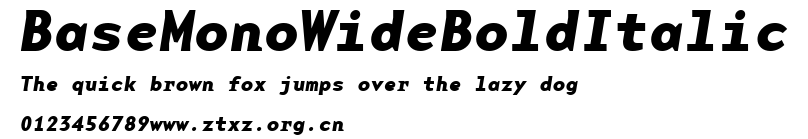 BaseMonoWideBoldItalic.ttf