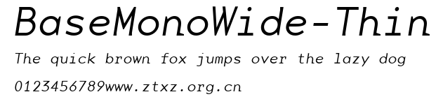 BaseMonoWide-Thin.ttf