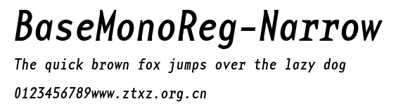 BaseMonoReg-Narrow.ttf