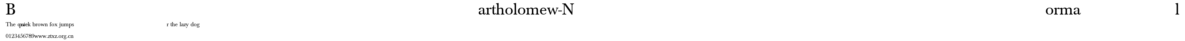 Bartholomew-Normal.ttf