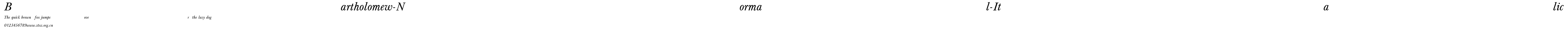Bartholomew-Normal-Italic.ttf