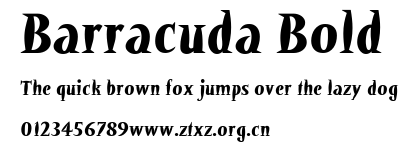 Barracuda Bold.ttf